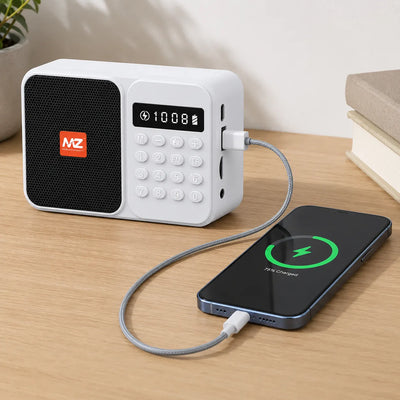 Rechargeable Bluetooth Radio with Built-In Power Bank