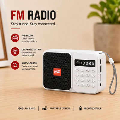Rechargeable Bluetooth Radio with Built-In Power Bank