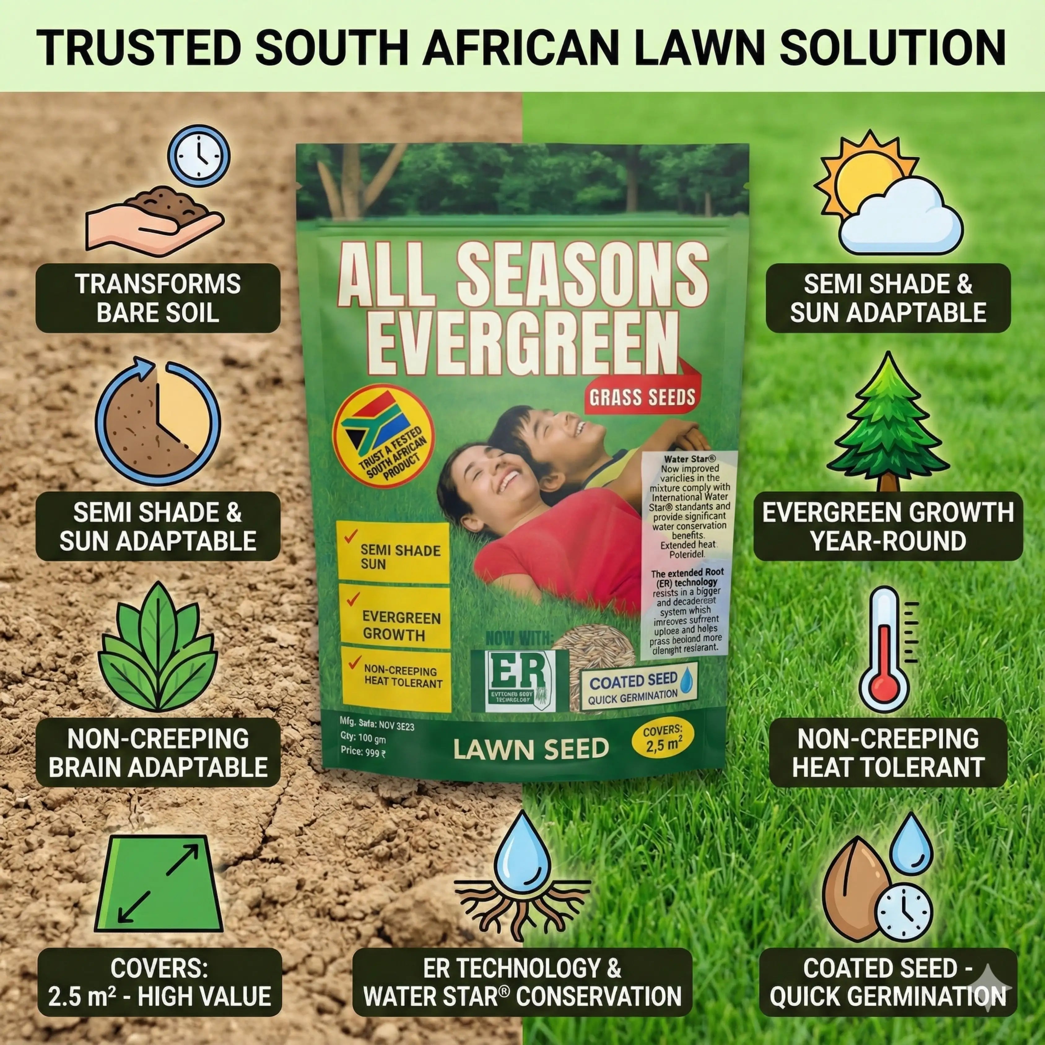 All Seasons Evergreen Grass Seeds | Fast Germination | Year - Round Beautiful Green Lawn - Dreamzhub