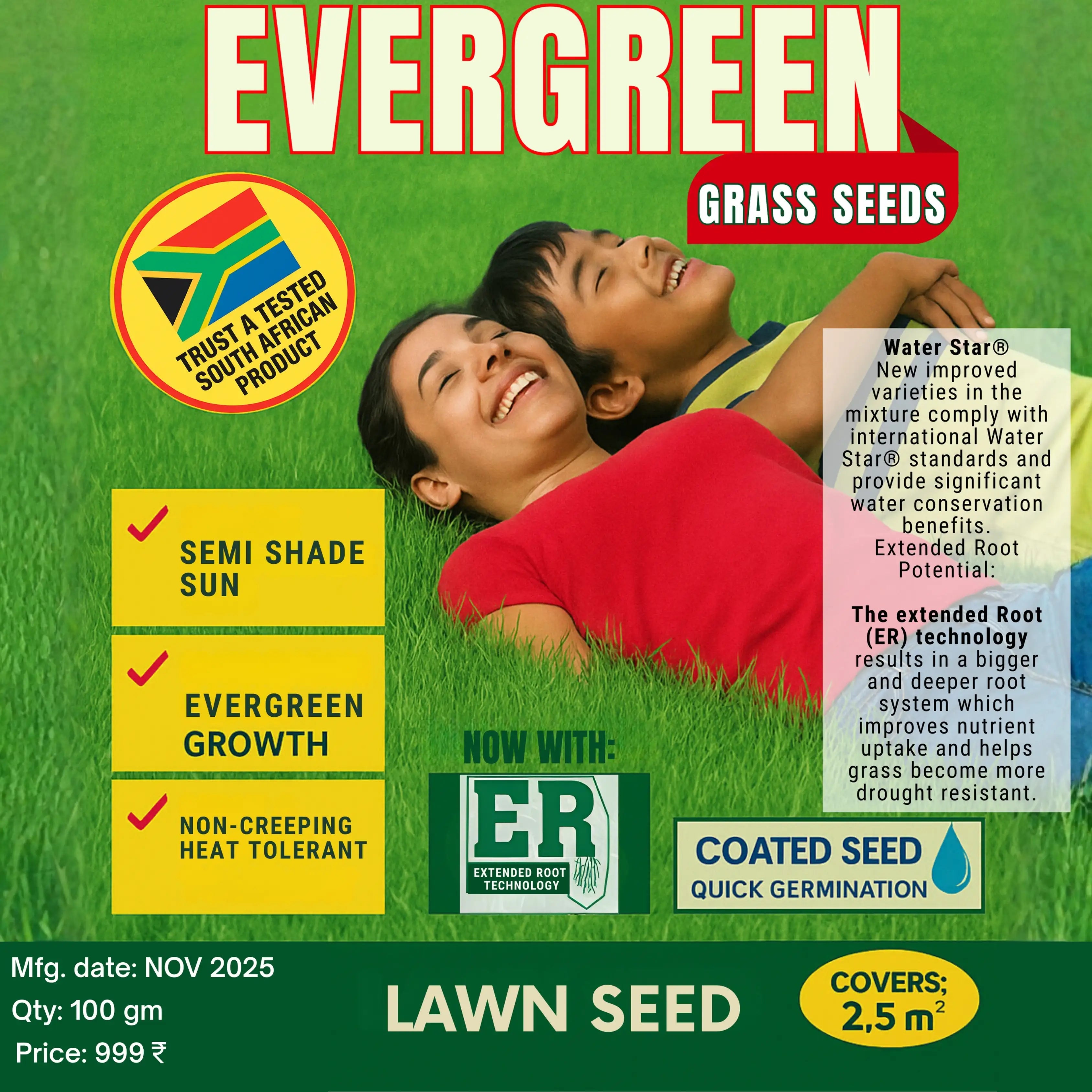 All Seasons Evergreen Grass Seeds | Fast Germination | Year - Round Beautiful Green Lawn - Dreamzhub