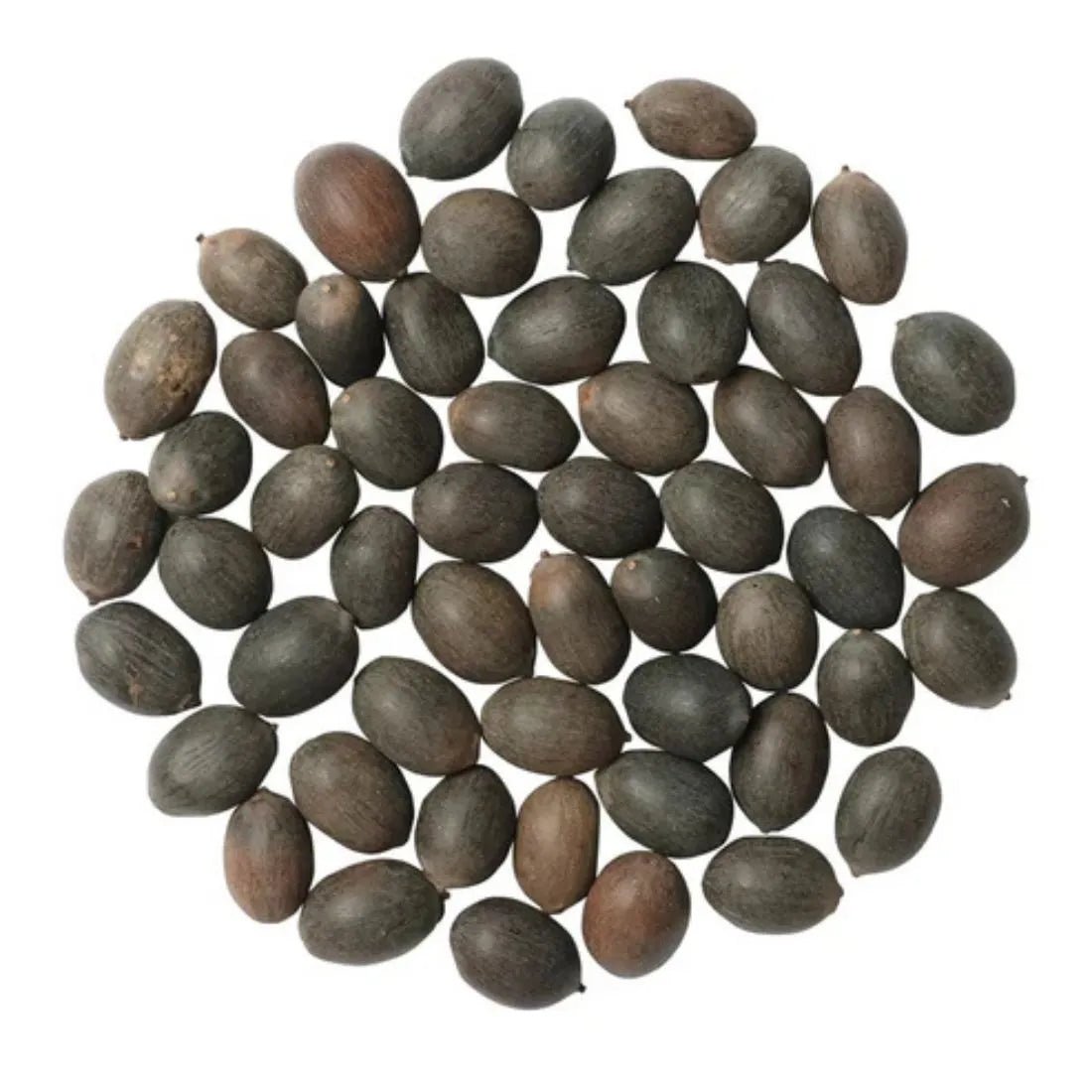 Easy - to - Grow Hybrid Lotus Seeds for Stunning Water Gardens - Dreamzhub