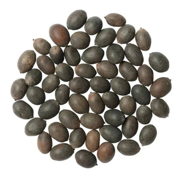 Easy - to - Grow Hybrid Lotus Seeds for Stunning Water Gardens - Dreamzhub