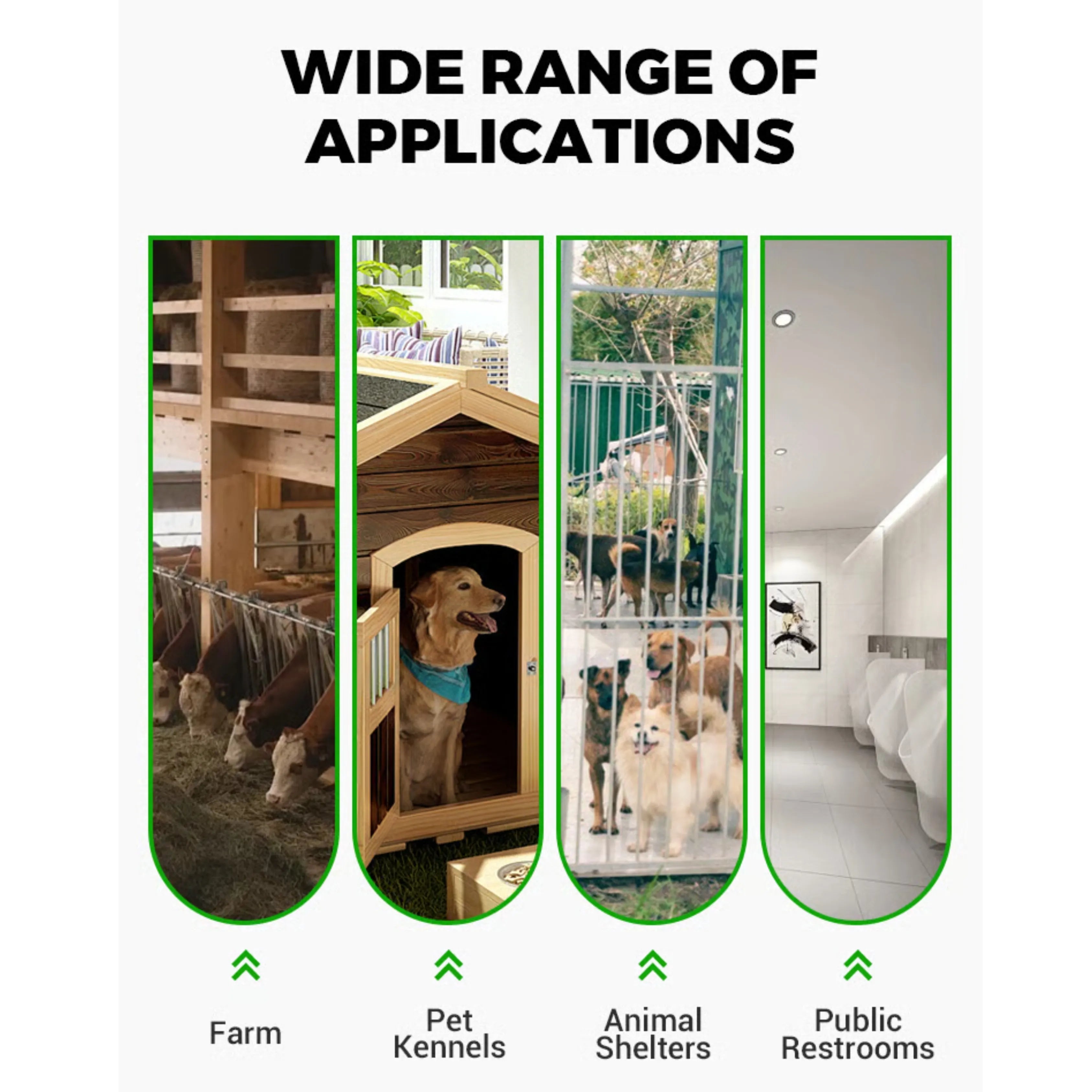 Fast - Acting Fly Control Concentrate – Powerful Insect Killer for Indoor & Outdoor Use - Dreamzhub