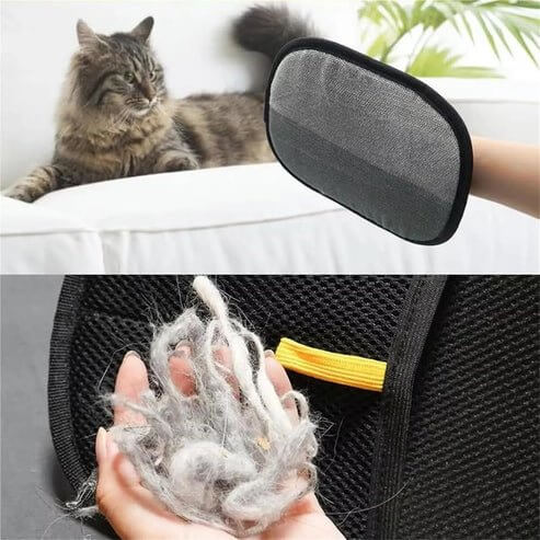 Pet Hair Remover Glove – Gentle Grooming & Shedding Glove for Dogs & Cats - Dreamzhub