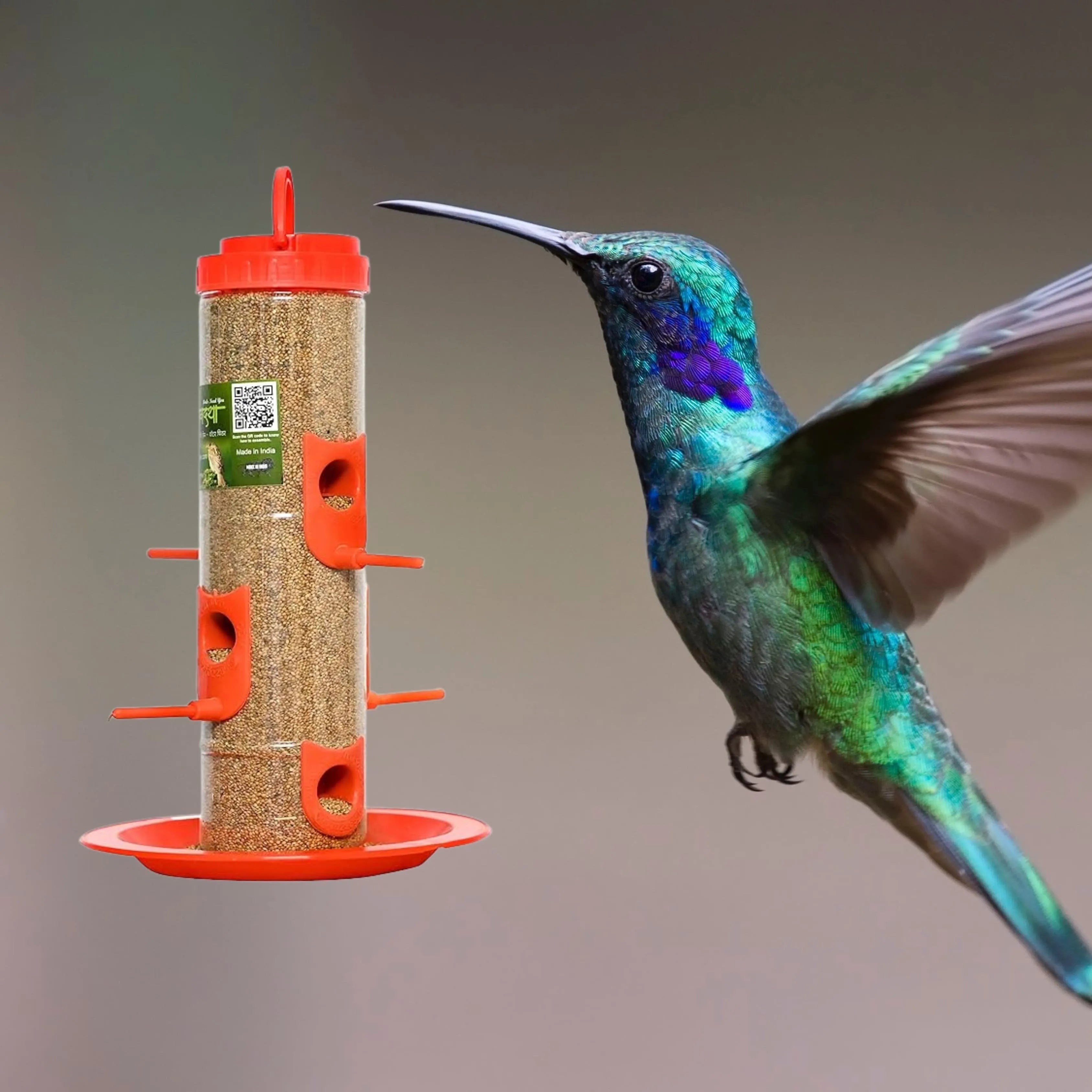 The Better Bird feeder - Dreamzhub