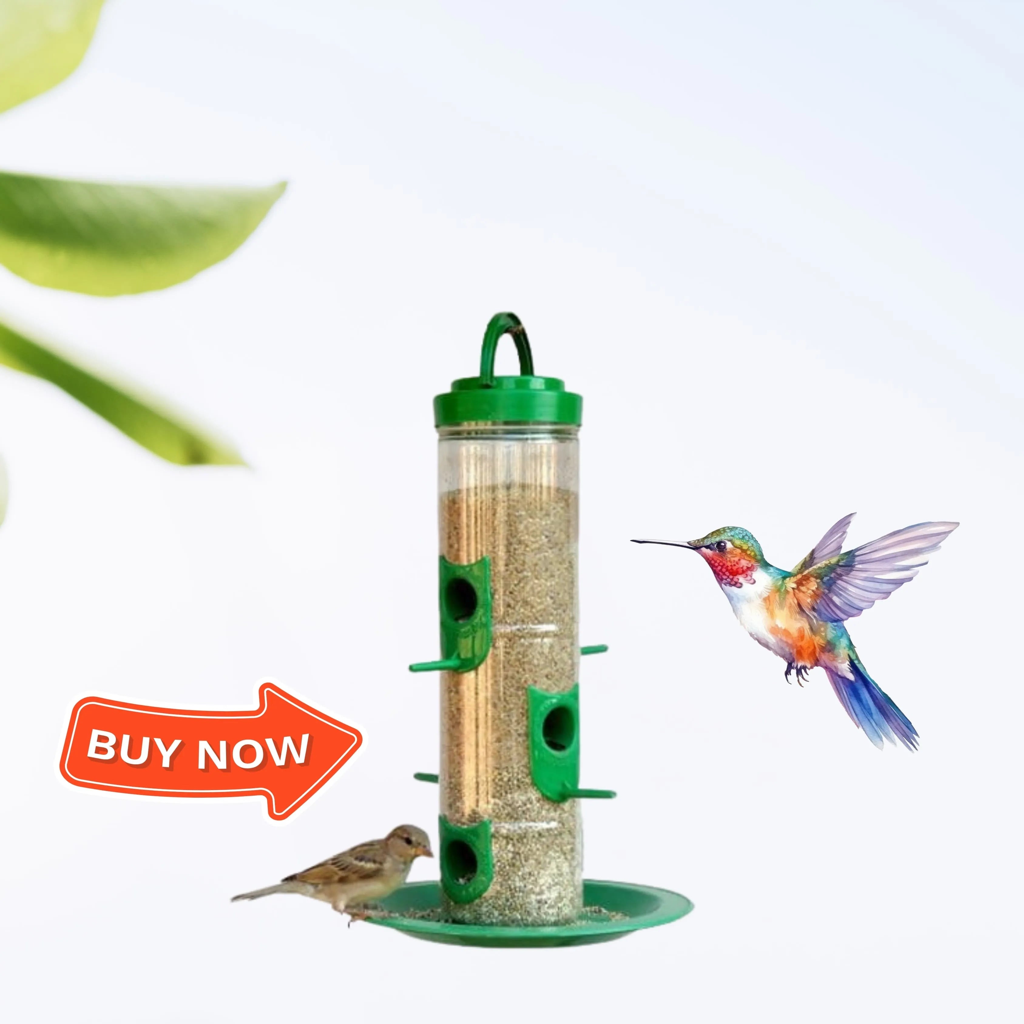 The Better Bird feeder - Dreamzhub