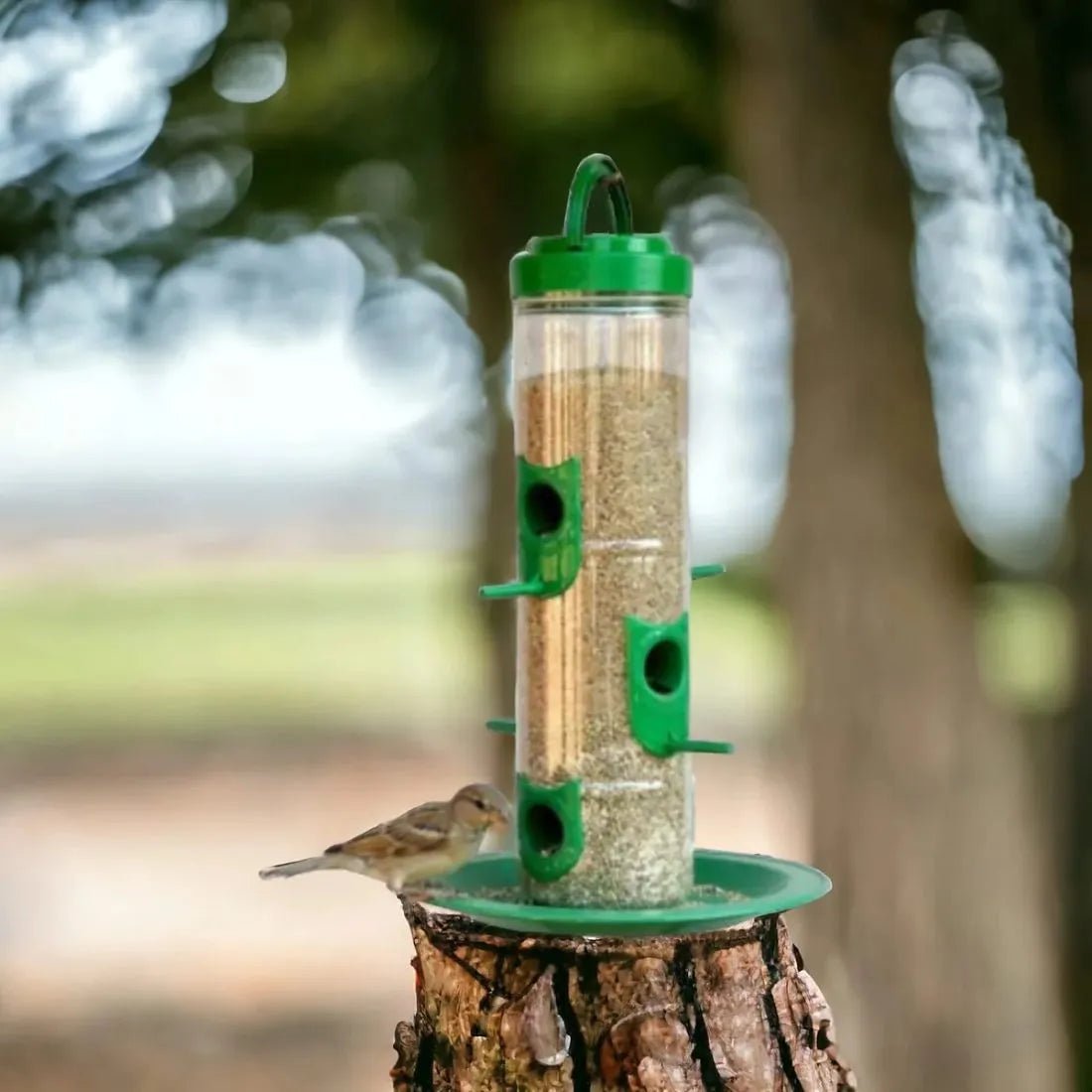 The Better Bird feeder - Dreamzhub