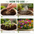 Pack Of Mix Flower Seeds