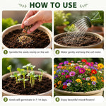 Pack Of Mix Flower Seeds