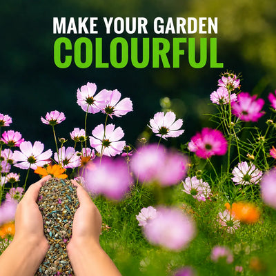 Pack Of Mix Flower Seeds