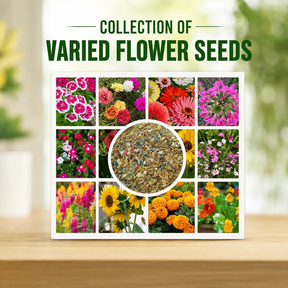 Pack Of Mix Flower Seeds