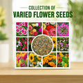 Pack Of Mix Flower Seeds