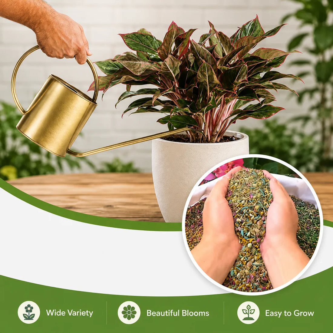 Pack Of Mix Flower Seeds