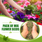Pack Of Mix Flower Seeds