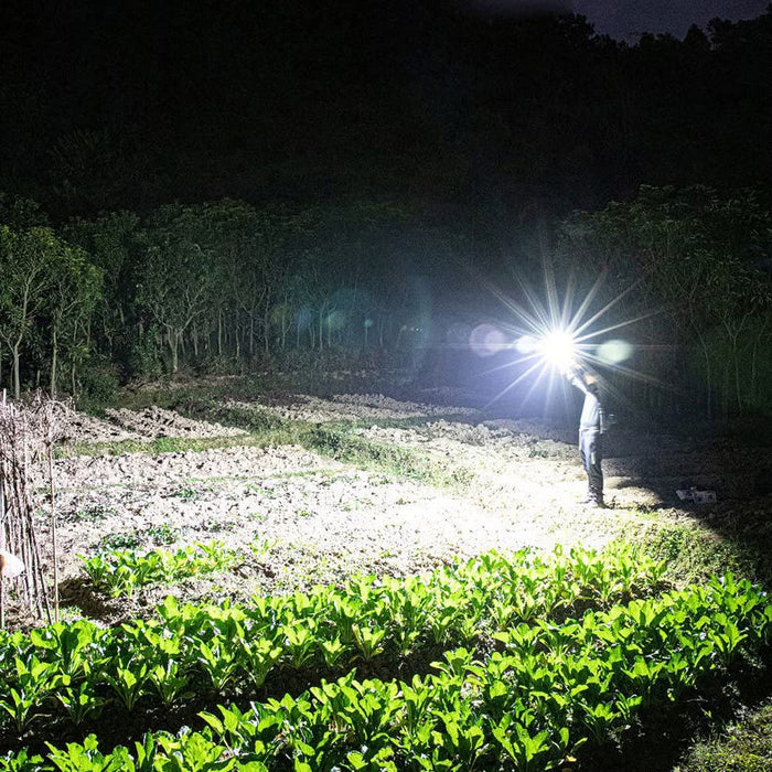 LED Torch with Power Bank