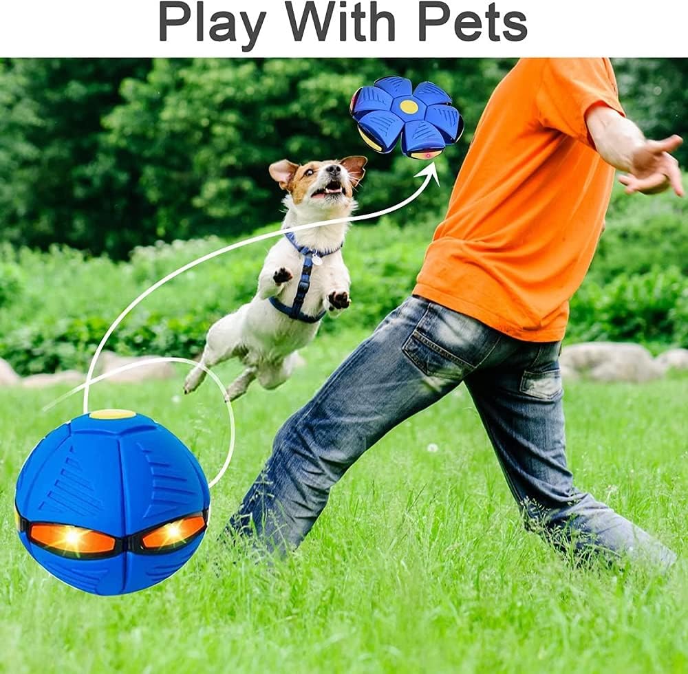 Toy Magic Ball For Pet