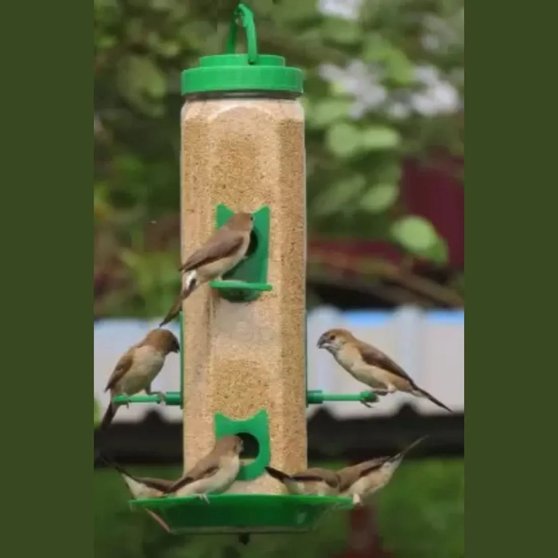 High-Quality Bird Feeders for Your Garden 