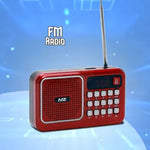 Rechargeable Radio With Bluetooth And Power Bank Function