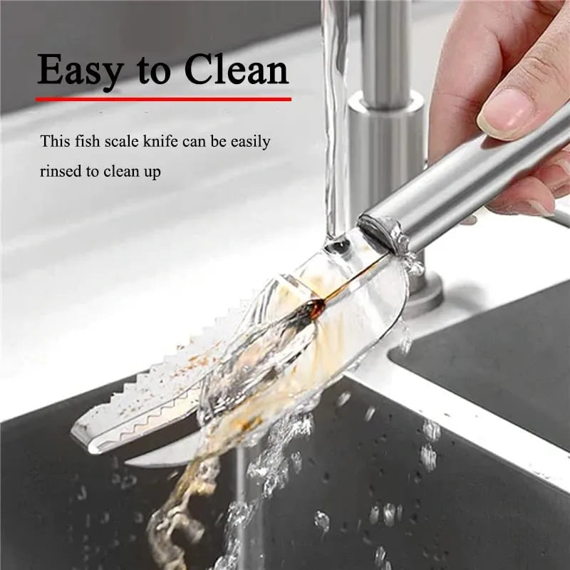 3 in 1 Fish Scale Scraper