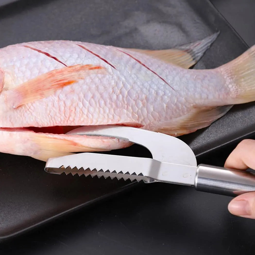 3 in 1 Fish Scale Scraper