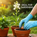 Pack of 5 Tuberose Rajnigandha Scented Flower Bulb