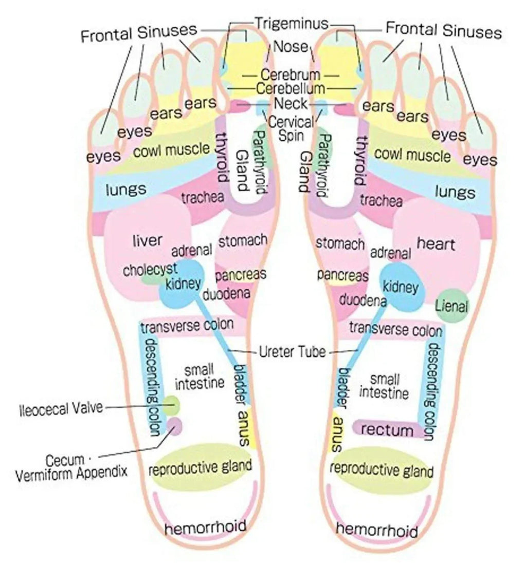 Acupressure Reflexology Massage Slippers – Magnetic Therapy Foot Massage Sandals for Pain Relief & Relaxation - Dreamzhub