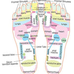 Acupressure Reflexology Massage Slippers – Magnetic Therapy Foot Massage Sandals for Pain Relief & Relaxation - Dreamzhub