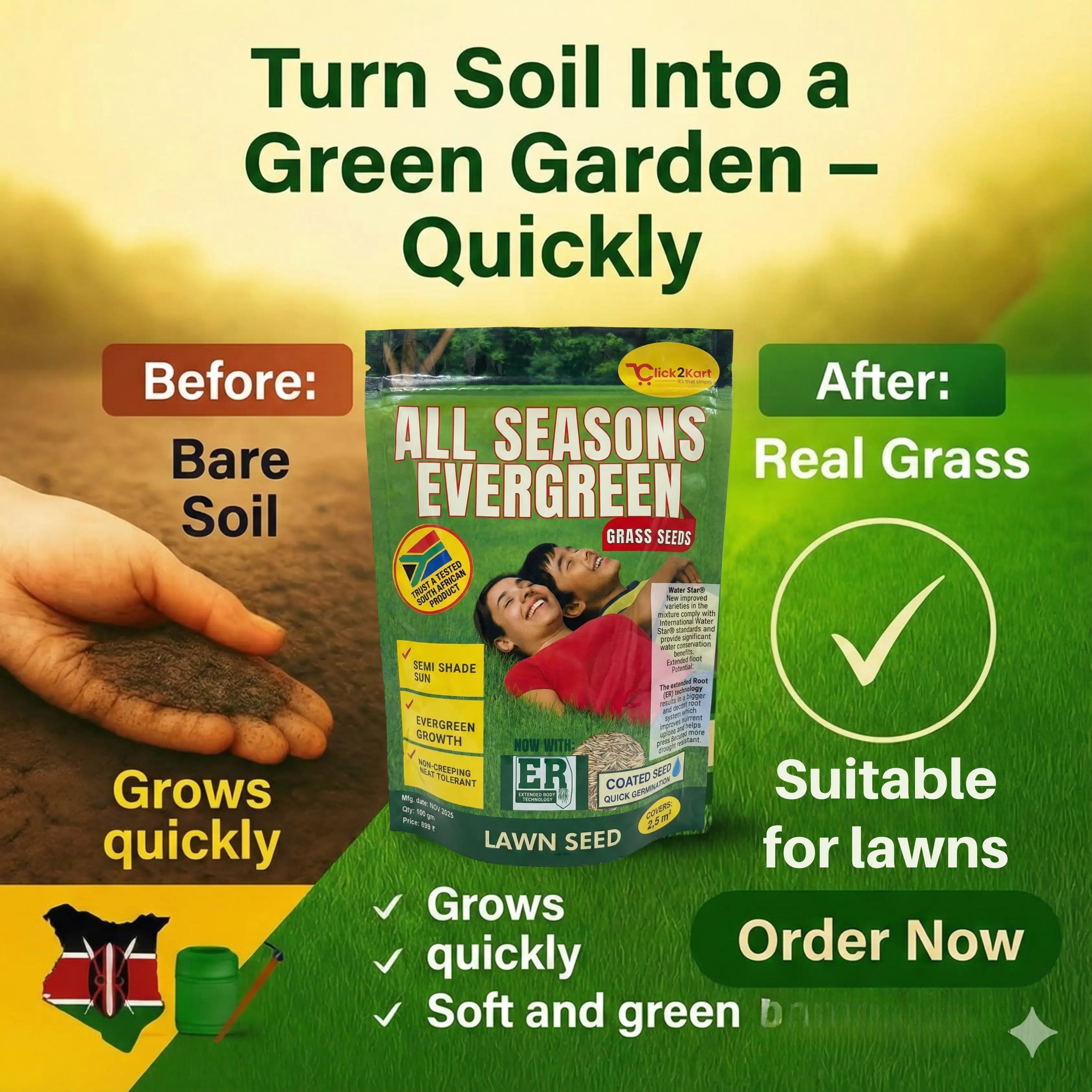 All Seasons Evergreen Grass Seeds | Fast Germination | Year - Round Beautiful Green Lawn - Dreamzhub