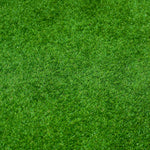All Seasons Evergreen Grass Seeds | Fast Germination | Year - Round Beautiful Green Lawn - Dreamzhub