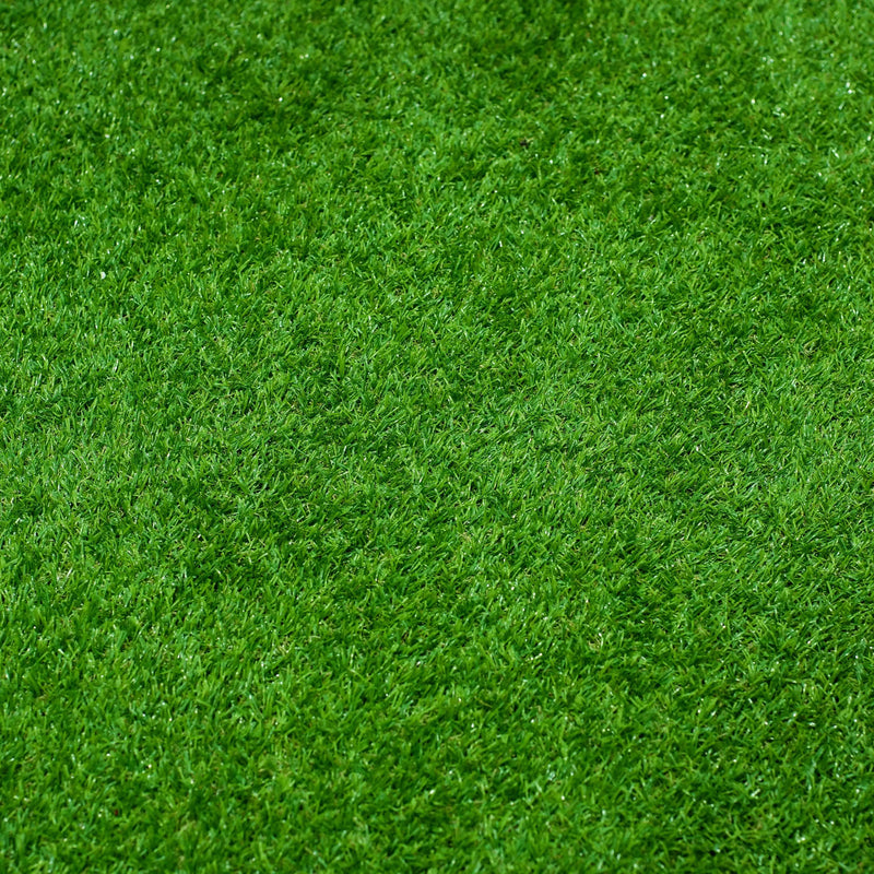 All Seasons Evergreen Grass Seeds | Fast Germination | Year - Round Beautiful Green Lawn - Dreamzhub