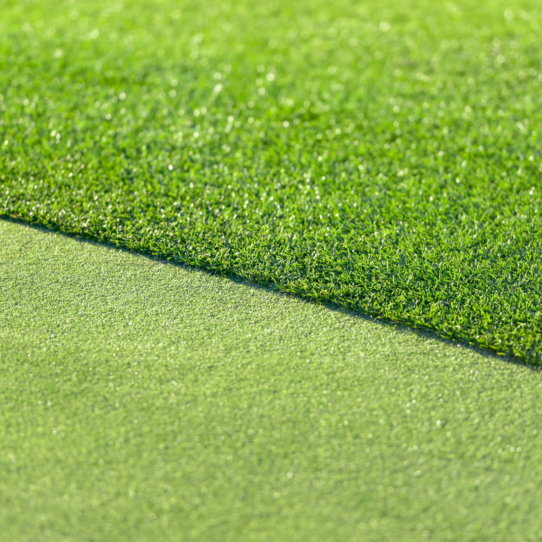 All Seasons Evergreen Grass Seeds | Fast Germination | Year - Round Beautiful Green Lawn - Dreamzhub
