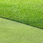 All Seasons Evergreen Grass Seeds | Fast Germination | Year - Round Beautiful Green Lawn - Dreamzhub