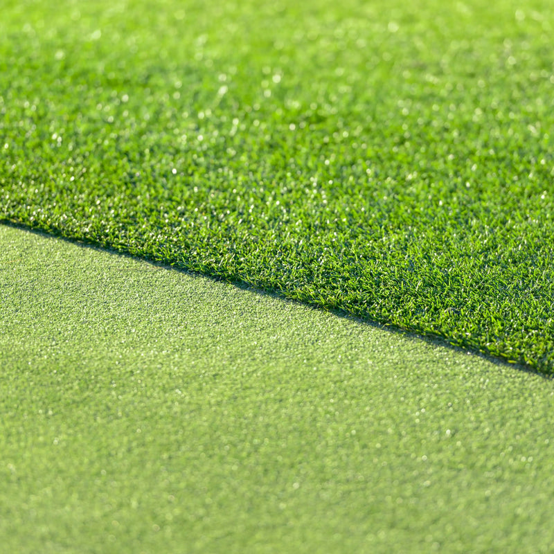 All Seasons Evergreen Grass Seeds | Fast Germination | Year - Round Beautiful Green Lawn - Dreamzhub