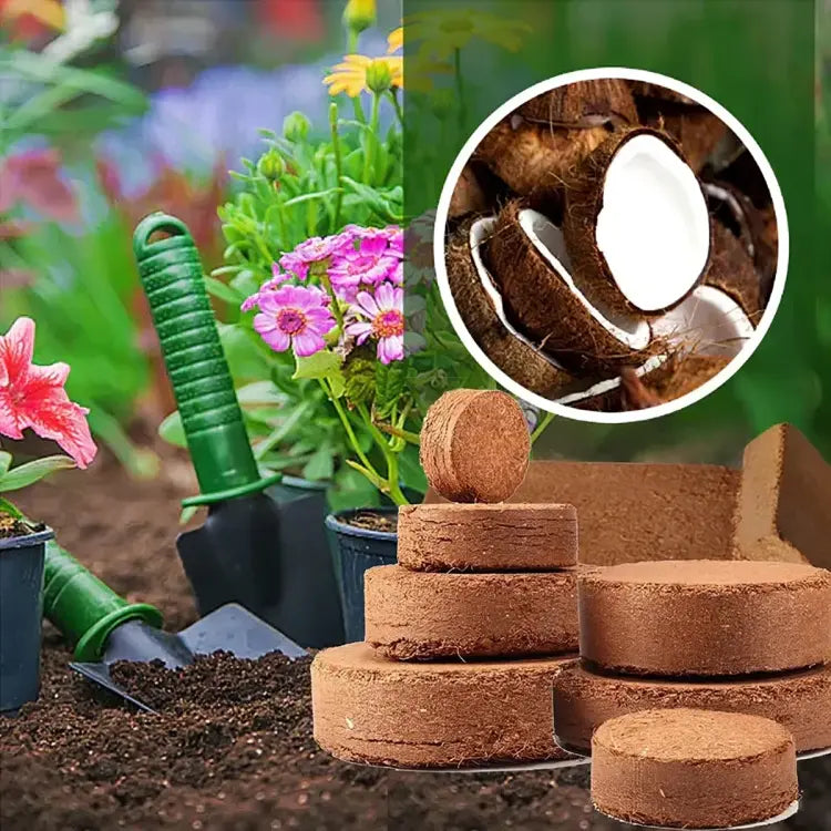 Organic Coconut Coir for Plants | Natural & Eco-Friendly Growing