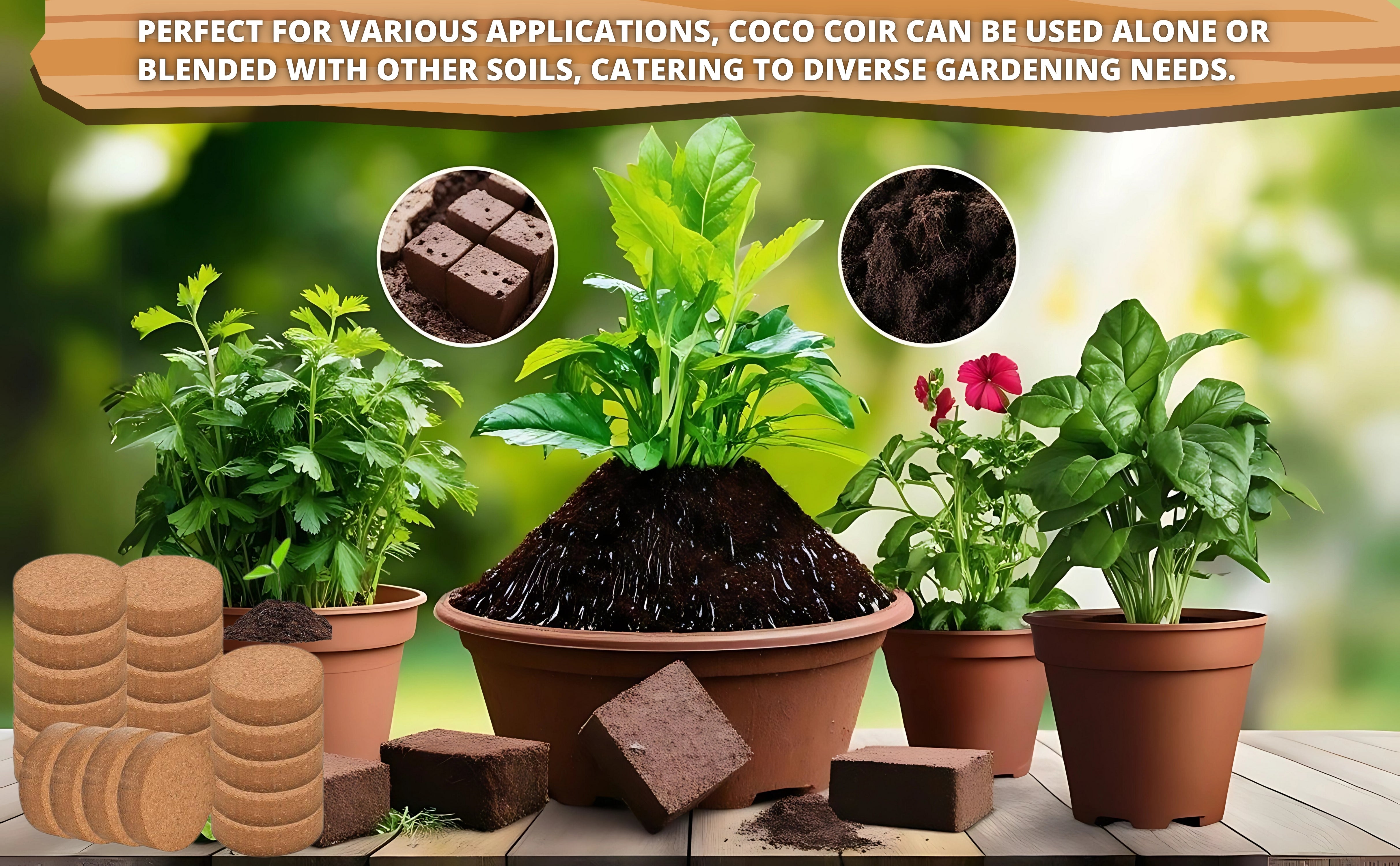 Organic Coconut Coir for Plants – Natural, Eco-Friendly Growing Medium for Healthy Plant Growth