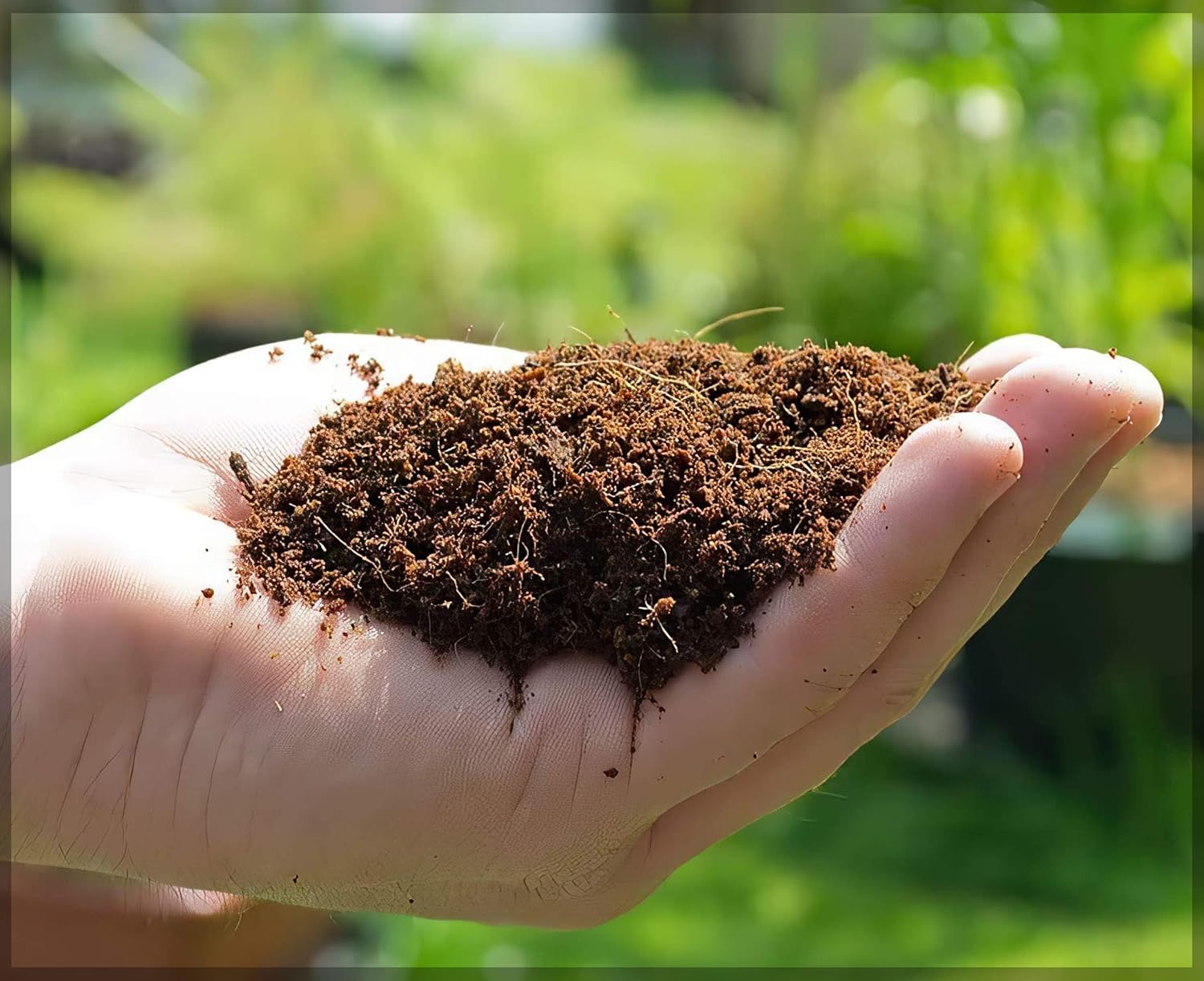 Organic Coconut Coir for Plants – Natural, Eco-Friendly Growing Medium for Healthy Plant Growth