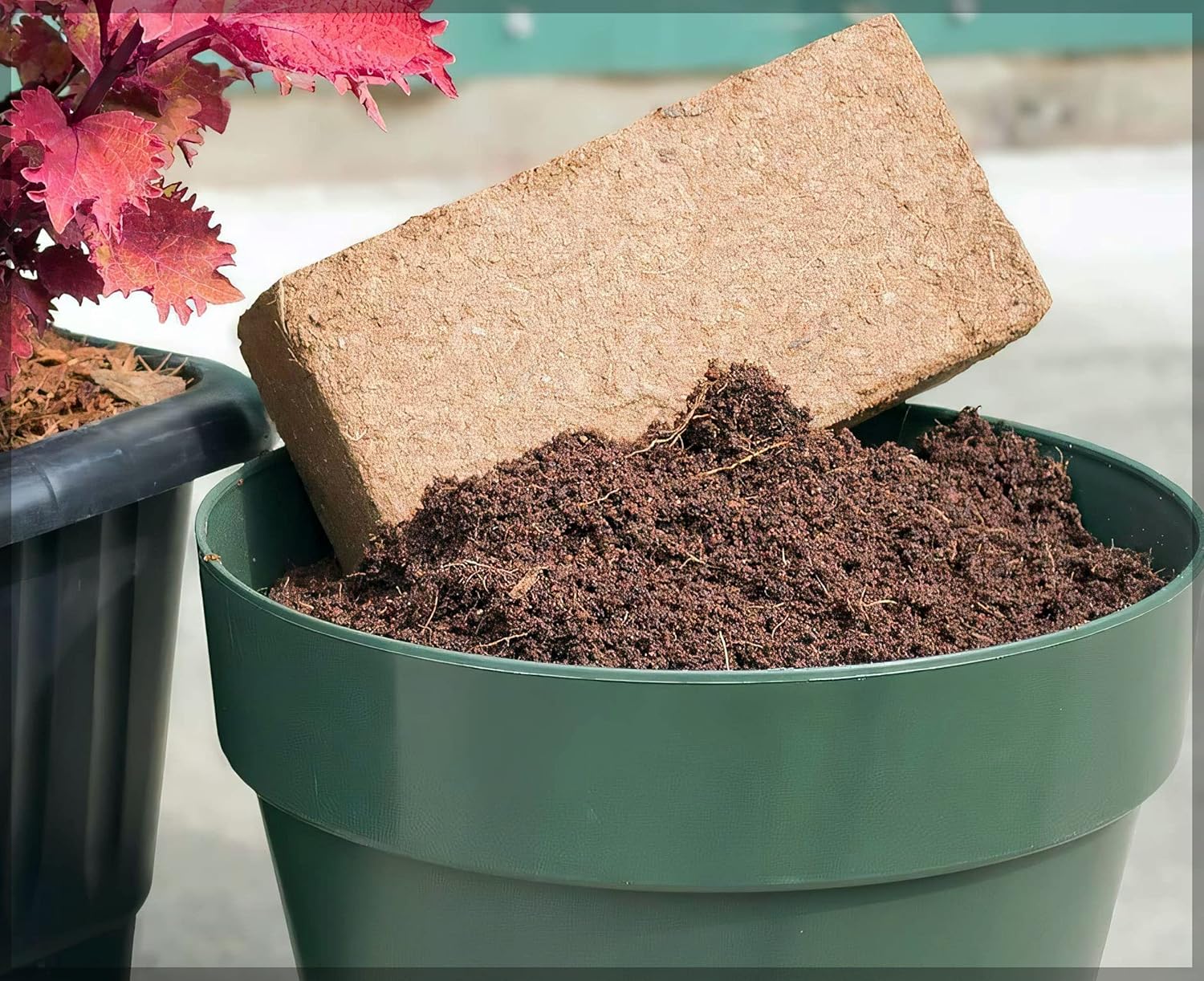 Organic Coconut Coir for Plants – Natural, Eco-Friendly Growing Medium for Healthy Plant Growth