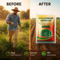 Cyclosinone Herbicide Granules - Dreamzhub