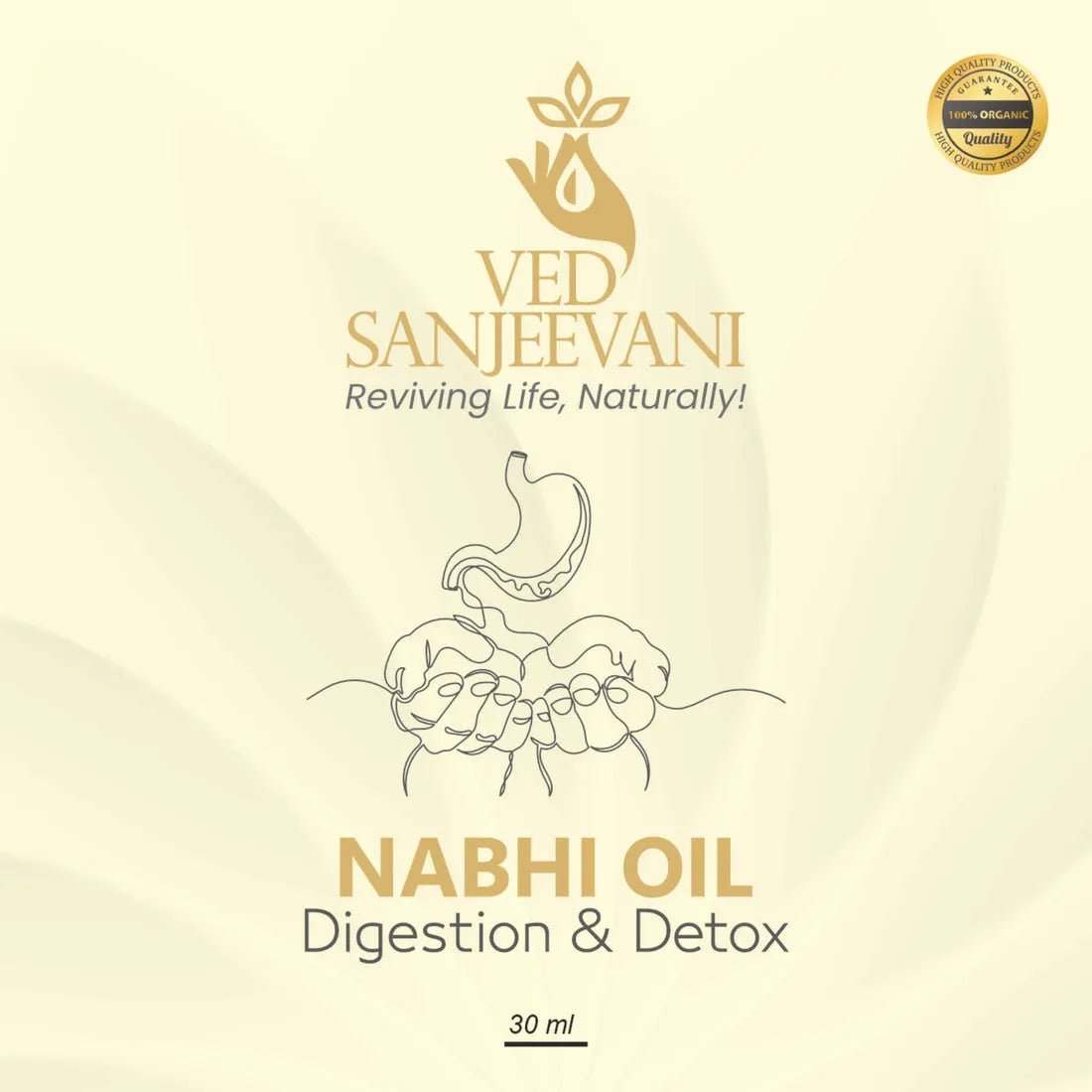 Digestion & Detox Nabhi Oil - Dreamzhub