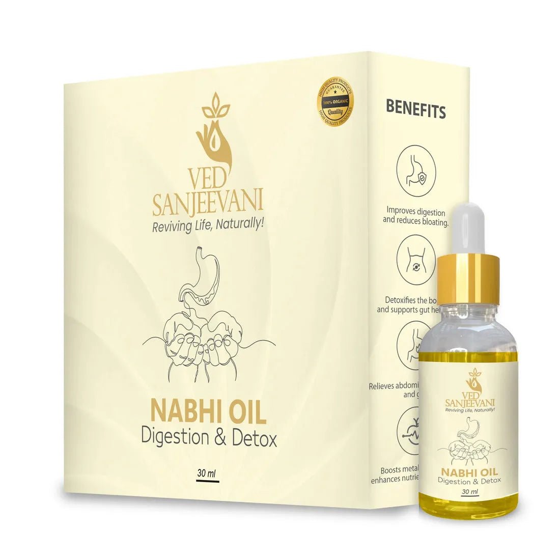 Digestion & Detox Nabhi Oil - Dreamzhub