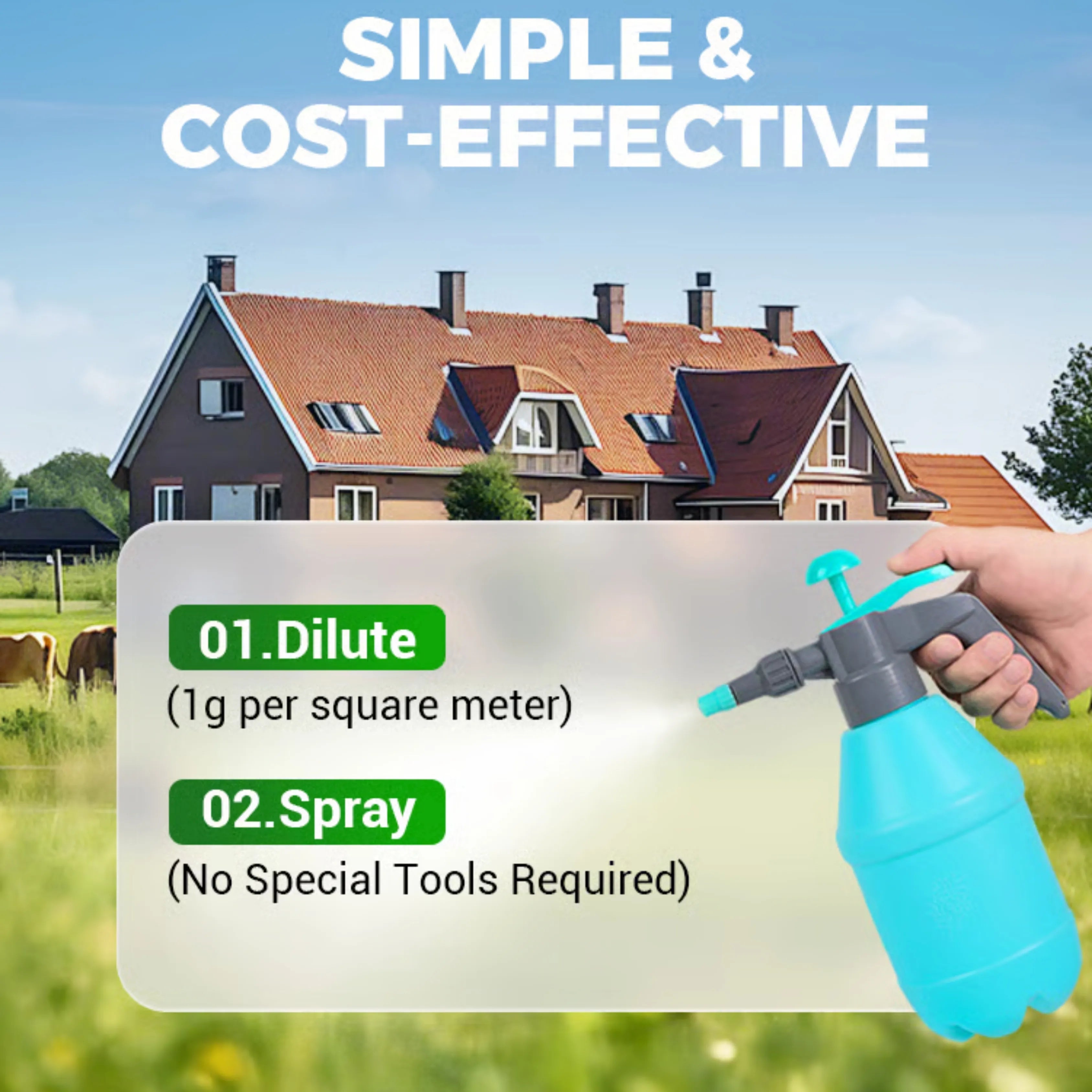 Fast - Acting Fly Control Concentrate – Powerful Insect Killer for Indoor & Outdoor Use - Dreamzhub