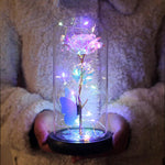 Foil Rose in Glass Dome – Eternal Beauty with LED Light Magic - Dreamzhub