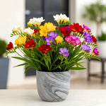 Pack of 10 Scented Multicolour Flower Bulb