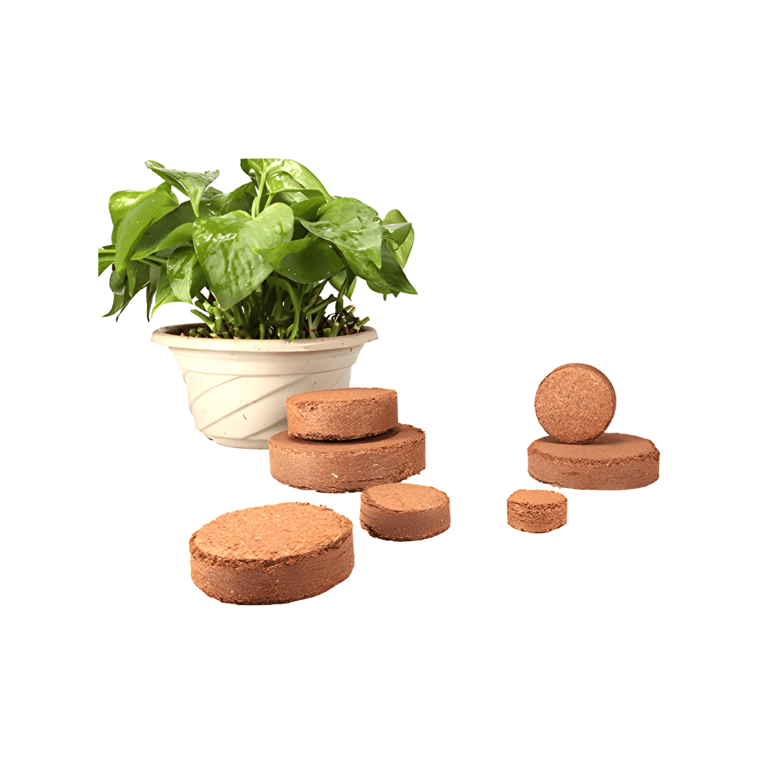 Organic Coconut Coir for Plants – Eco - Friendly Growing Medium for Healthy Plant Growth - Dreamzhub