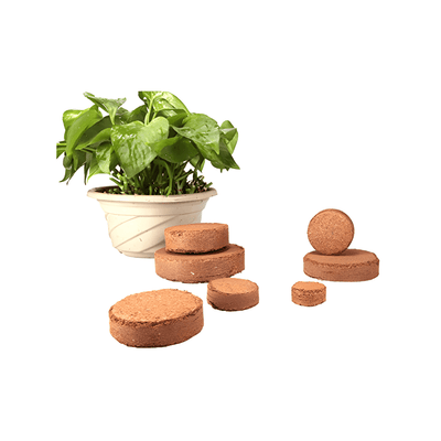 Organic Coconut Coir for Plants – Eco - Friendly Growing Medium for Healthy Plant Growth - Dreamzhub