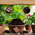 Organic Coconut Coir for Plants – Natural, Eco - Friendly Growing Medium for Healthy Plant Growth - Dreamzhub