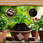 Organic Coconut Coir for Plants – Natural, Eco - Friendly Growing Medium for Healthy Plant Growth - Dreamzhub