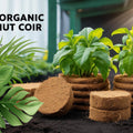Organic Coconut Coir for Plants – Natural, Eco - Friendly Growing Medium for Healthy Plant Growth - Dreamzhub