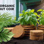Organic Coconut Coir for Plants – Natural, Eco - Friendly Growing Medium for Healthy Plant Growth - Dreamzhub