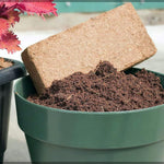 Organic Coconut Coir for Plants – Natural, Eco - Friendly Growing Medium for Healthy Plant Growth - Dreamzhub